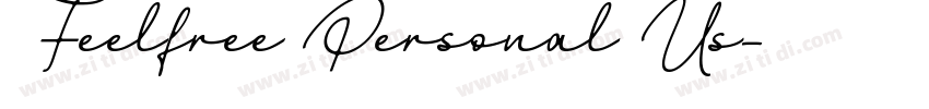 Feelfree Personal Us字体转换